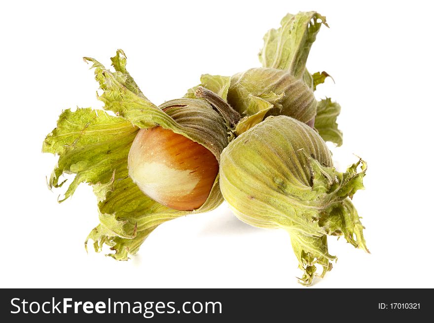 Three hazelnuts cluster isolated over white background