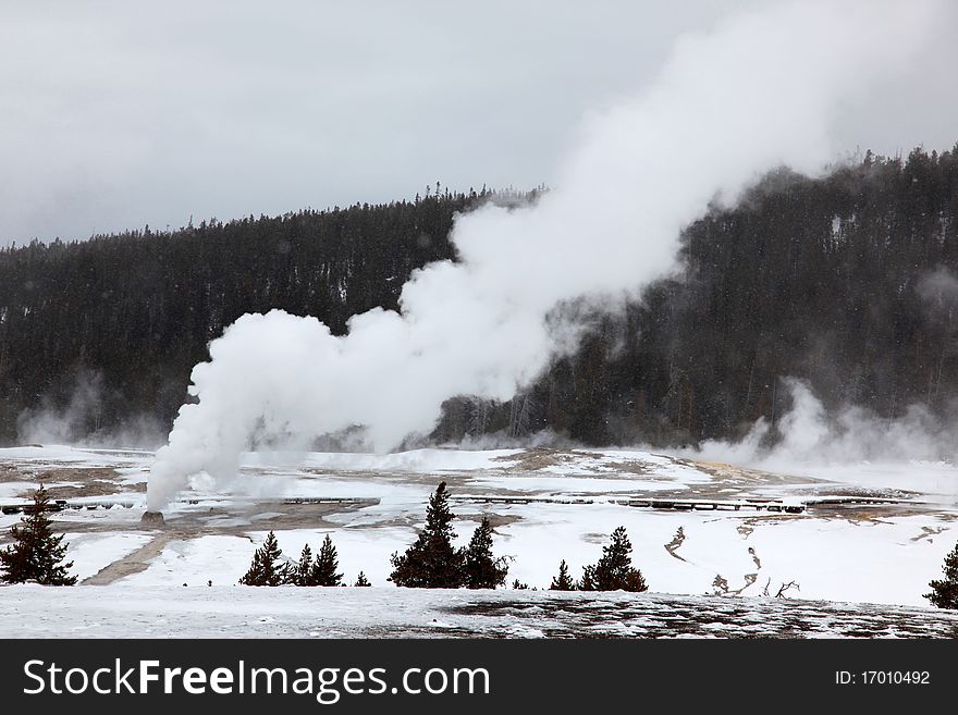 Hot geysers in Yellowstone NP, USA