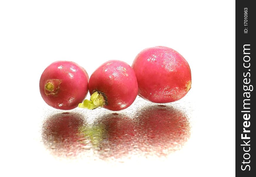Radish on the white background with water drops