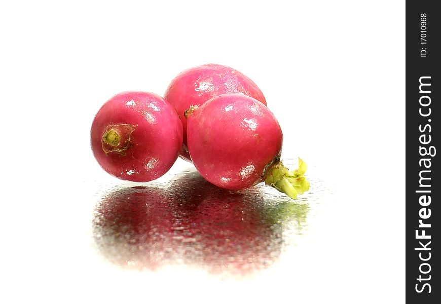 Radish on the white background with water drops