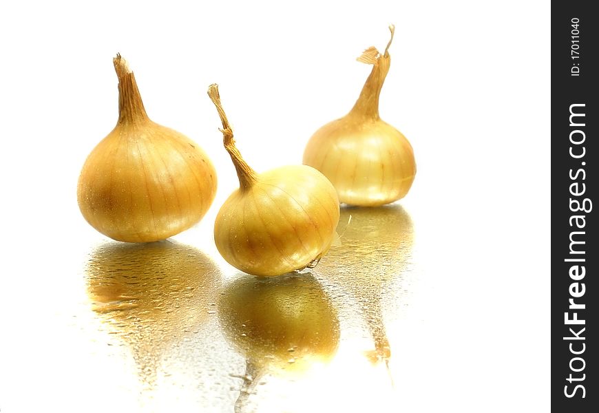 Bulbs of onion on a white background with water drops