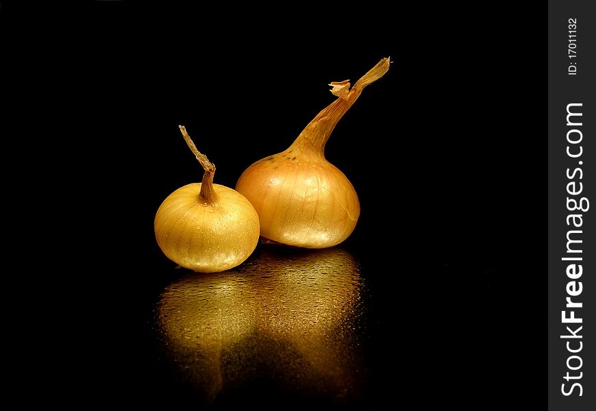 Bulbs of onion on the black background with water drops