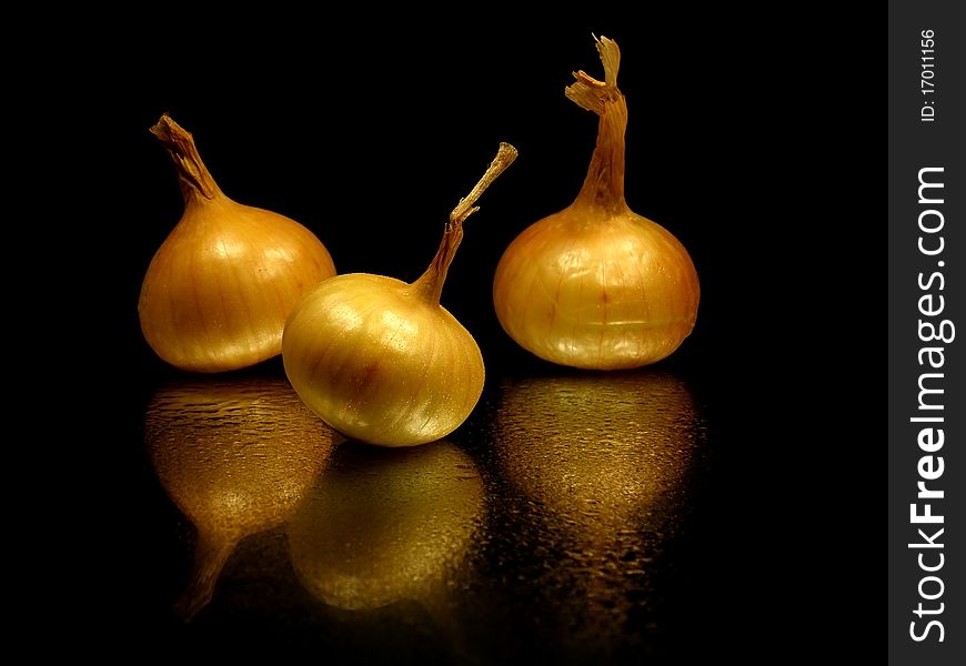 Bulbs of onion on the black background with water drops