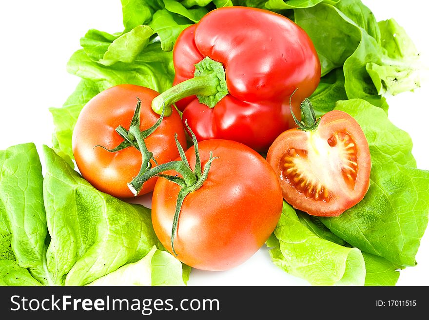 Tomatoes and the pepper relating to lettuce. Tomatoes and the pepper relating to lettuce