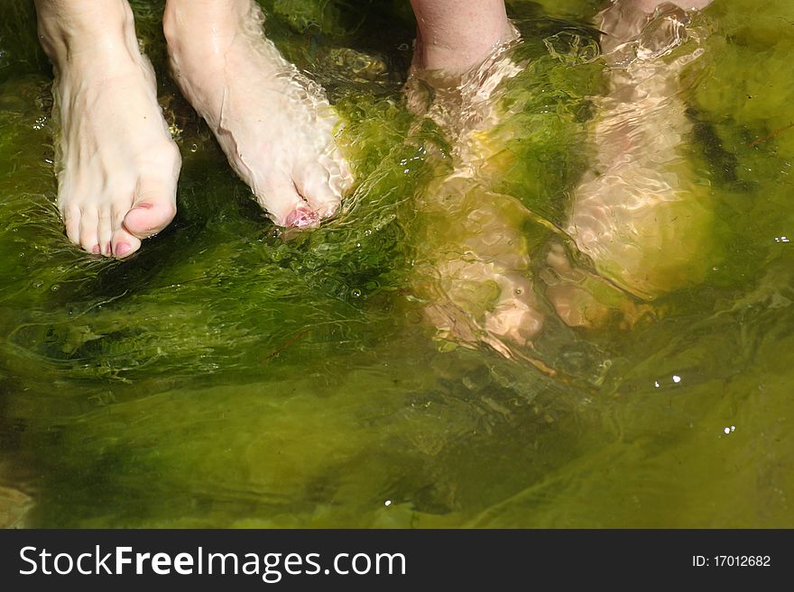 Human foot in the seaweed