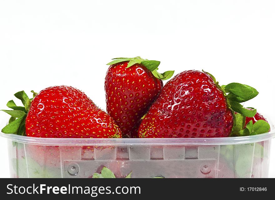Strawberries in the trash is plastic on a white background