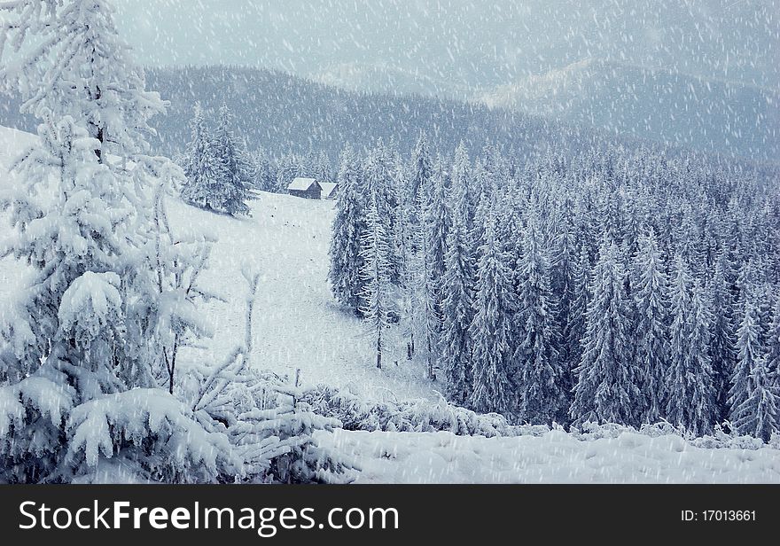 Winter landscape with snow in mountains Carpathians, Ukraine. Winter landscape with snow in mountains Carpathians, Ukraine