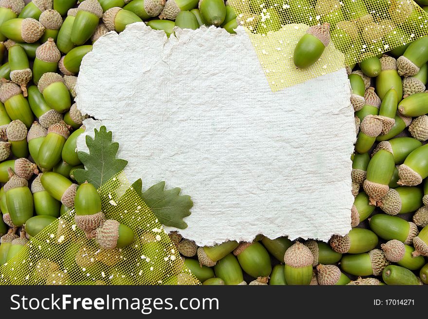 Decorative acorn background with a piece of textured paper