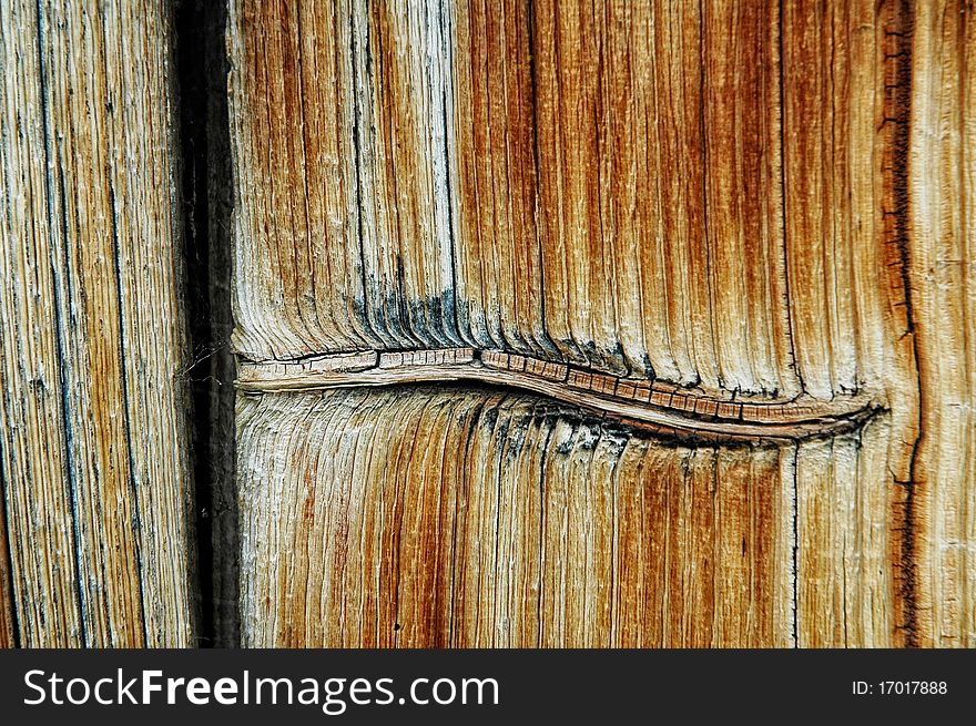 Closeup view of a wooden texture with knot