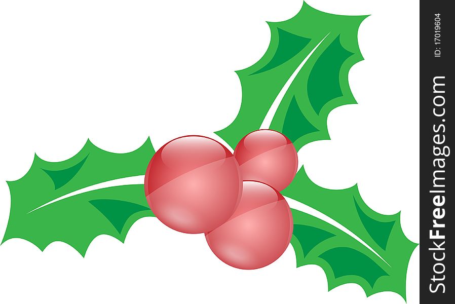 Decorative leaves of holly and fruits. Decorative leaves of holly and fruits