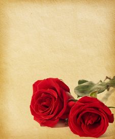 83+ Red floral page border Free Stock Photos - StockFreeImages