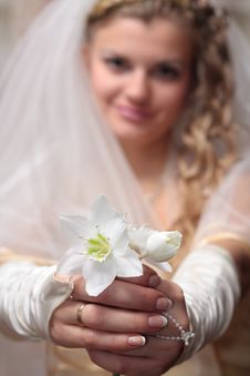 Bride With A Wedding Bouquet Stock Photography Bride With A Wedding Bouquet Stock Photography
