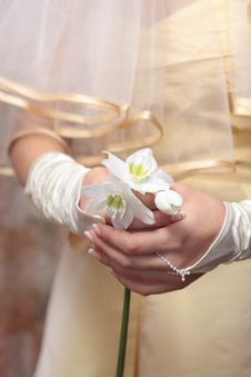 Bride Bouquet Royalty Free Stock Image