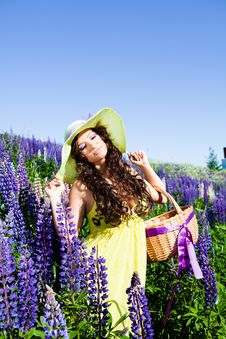Woman In Plant Of Violet Wild Lupine Stock Images