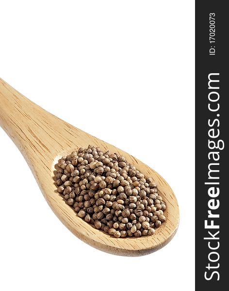 Isolated wooden Spoon with on coriander it. Isolated wooden Spoon with on coriander it.