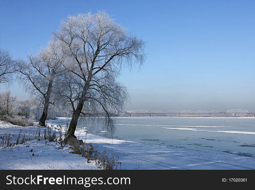 The beginning of winter was marked by strong frosts. The beginning of winter was marked by strong frosts