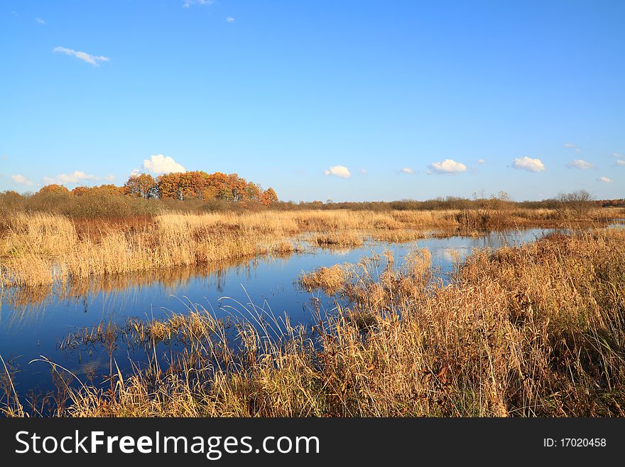 Small river on autumn field