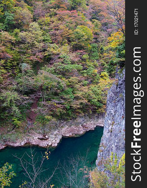 Autumn Colors of Dakigaeri-Keikoku Valley, located at Akita Prefecture Japan