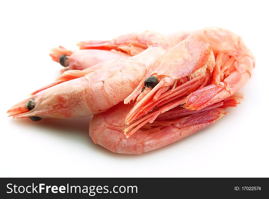 Shrimps on a white background