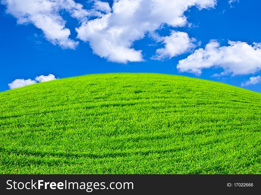 Beautiful field with a green grass and the beautiful sky on horizon with fluffy clouds