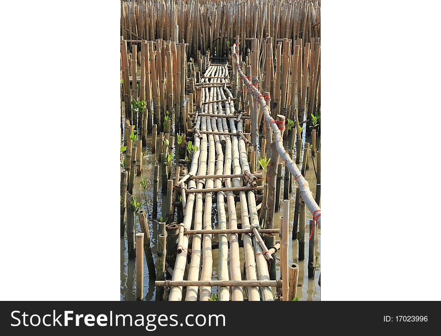 Bamboo Bridge Over The Sea