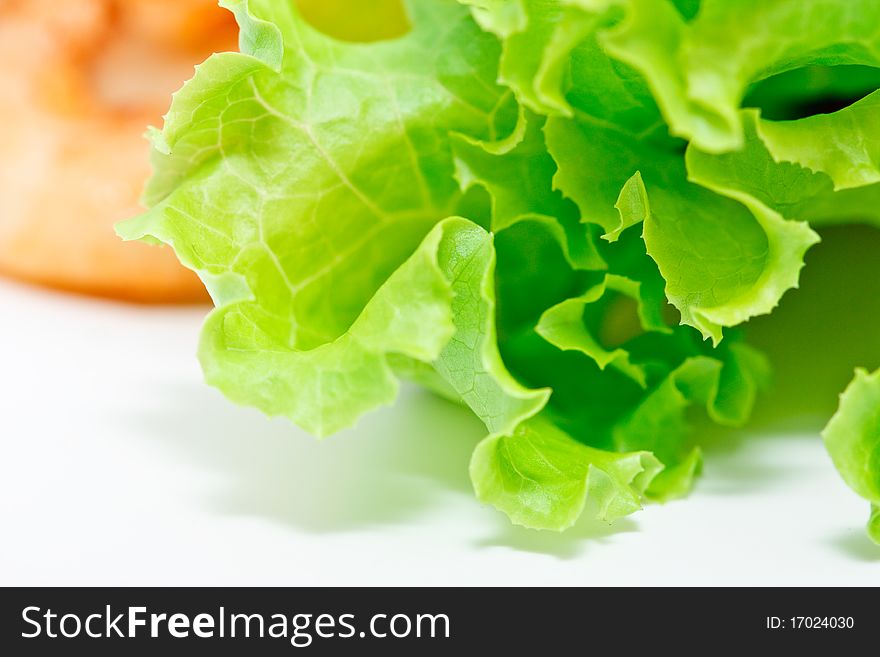 Lattuce, salad vegetable on white background. Lattuce, salad vegetable on white background