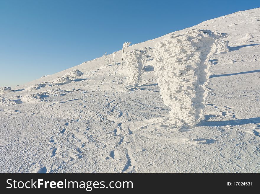 Snow covered landscape with trees. Snow covered landscape with trees