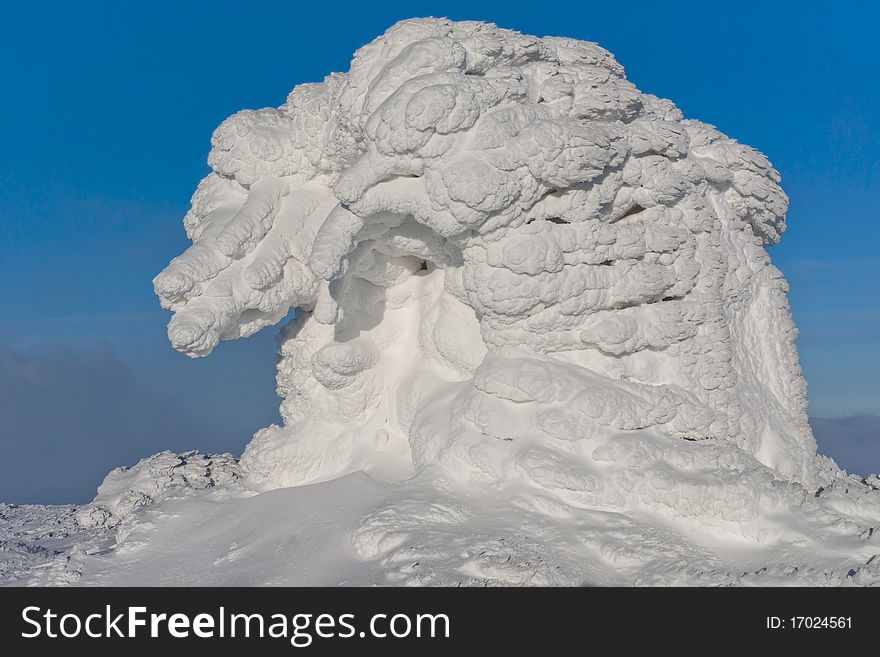 Snow covered landscape with trees. Snow covered landscape with trees