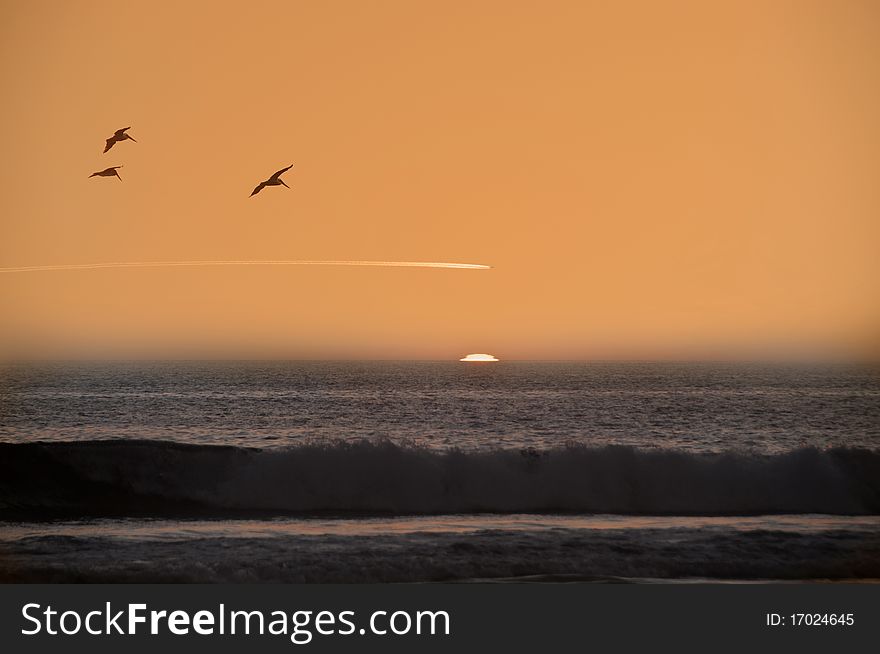 Sunset at the beach, birds and airplane flying over the horizon. Sunset at the beach, birds and airplane flying over the horizon.