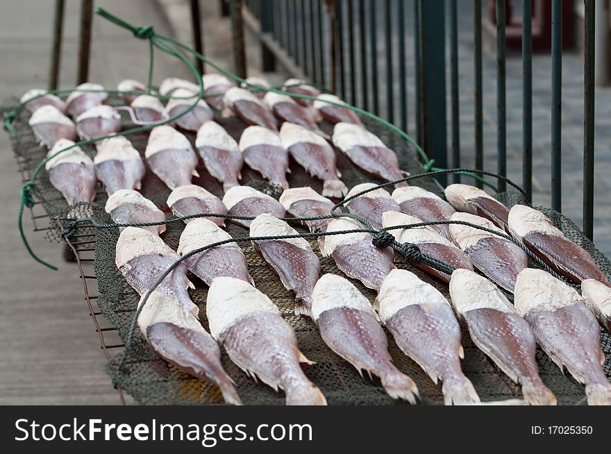 Fishes were dried under the sun. Fishes were dried under the sun