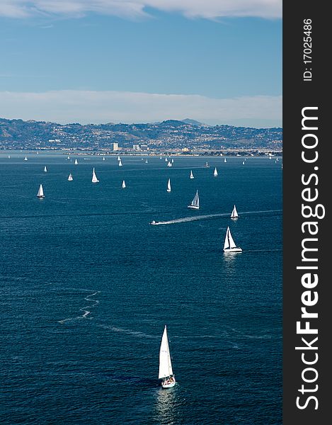 Many yachts in San-Francisco bay. Many yachts in San-Francisco bay