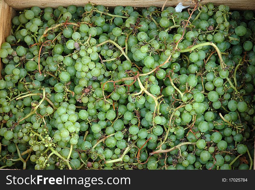 A box of grapes for sale at a local farmer's market