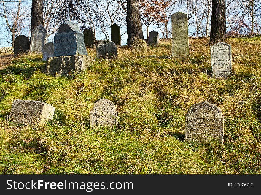 Forgotten Jewish Cemetery