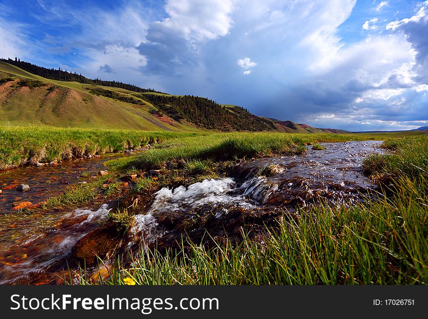 Landscape with the mountain river