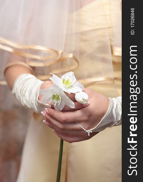 Bride Bouquet In the hands of the bride