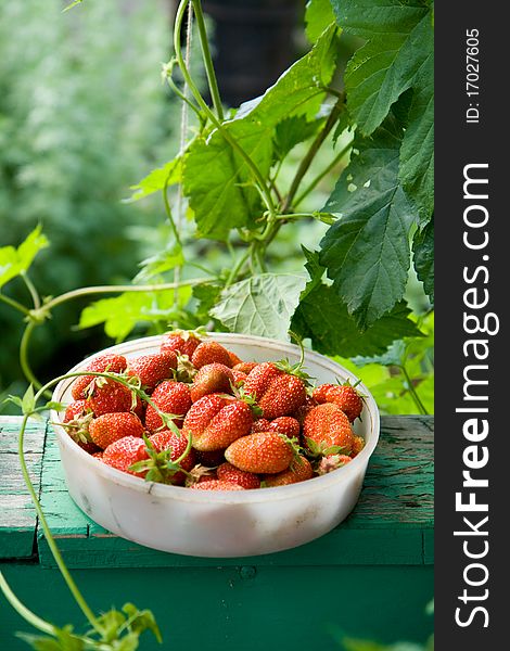 Bowl full of strawberry standing on windowsill in the garden