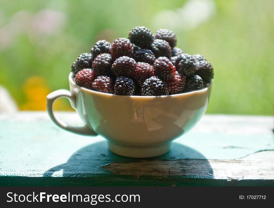 Fresh blackberries in the garden