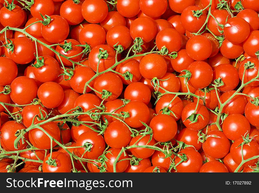 Landscape view of clusters cherry tomatoes background. Landscape view of clusters cherry tomatoes background
