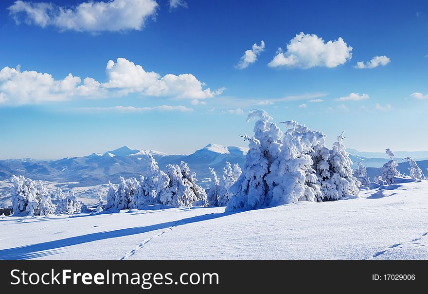 Winter landscape with snow in mountains Carpathians, Ukraine. Winter landscape with snow in mountains Carpathians, Ukraine