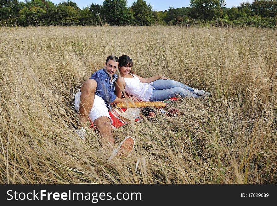 Happy Couple Enjoying Countryside Picnic