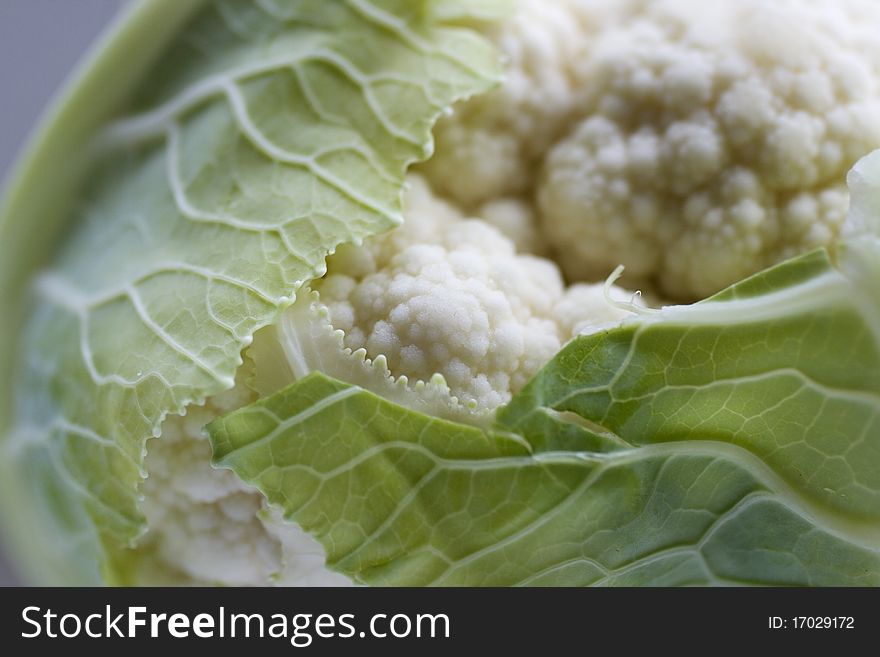 Detail of a fresh cauliflower