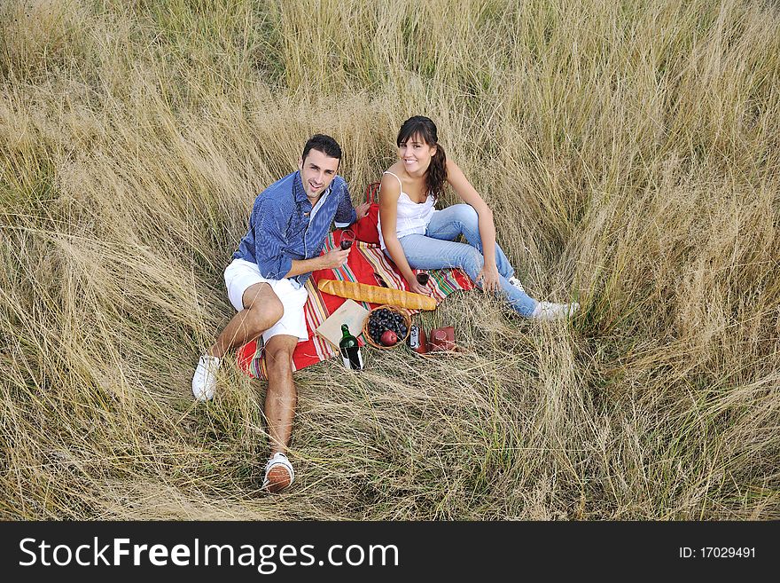 Happy Couple Enjoying Countryside Picnic