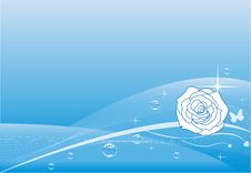 Blue Rose Background Stock Photography Blue Rose Background Stock Photography