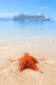 A Cruiseship And A Starfish Royalty Free Stock Photography A Cruiseship And A Starfish Royalty Free Stock Photography