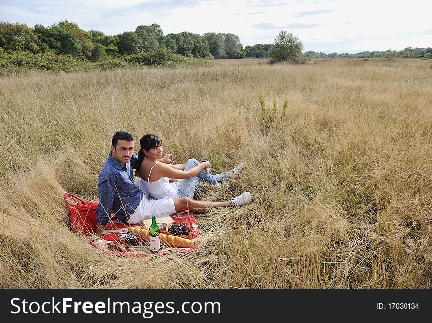 Happy Couple Enjoying Countryside Picnic