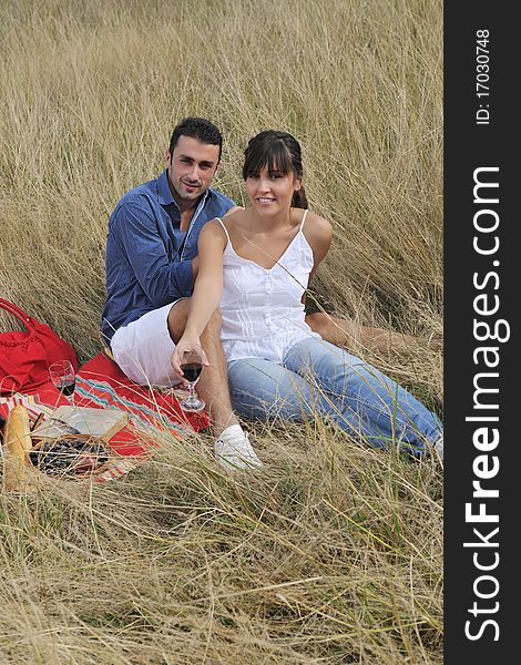 Happy couple enjoying countryside picnic