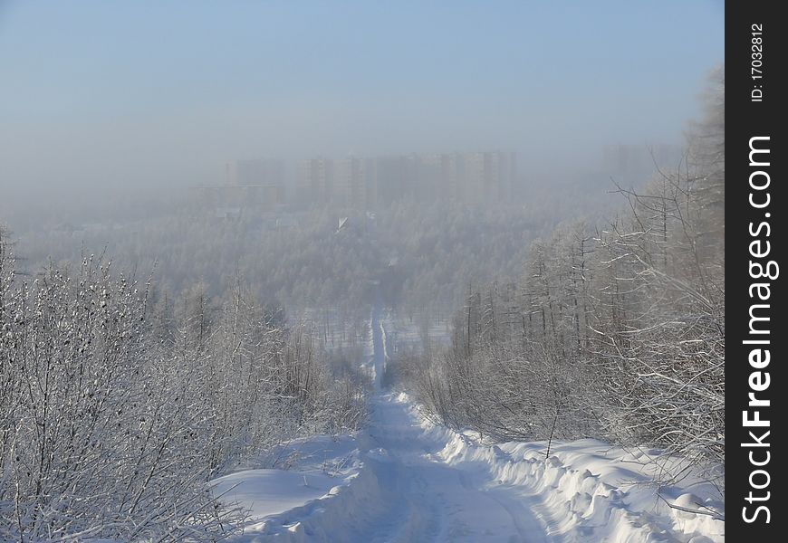 Winter snowy forest in Siberia (Russia) with fog and multi-storey houses and blue sky as a background. Winter snowy forest in Siberia (Russia) with fog and multi-storey houses and blue sky as a background