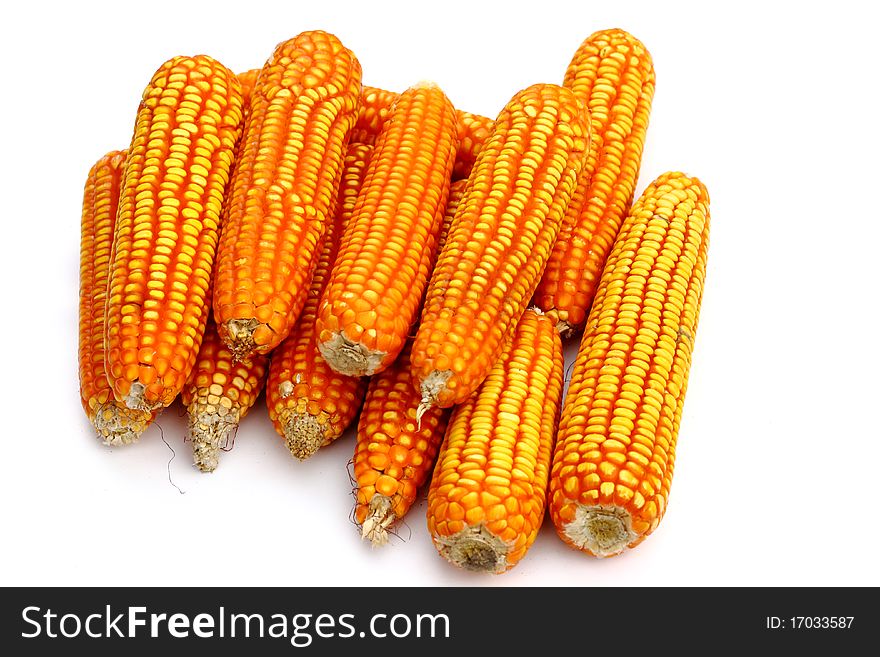 Dry corn isolated on white background