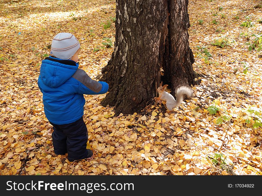 The little boy feeds the squirrel with a nut