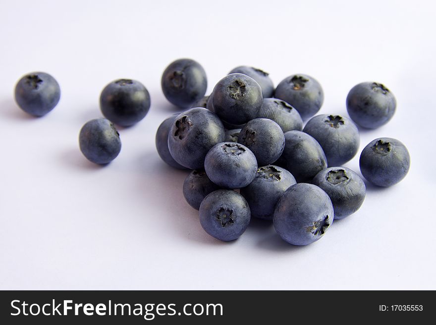 Blueberries isolated on white shown from top angle